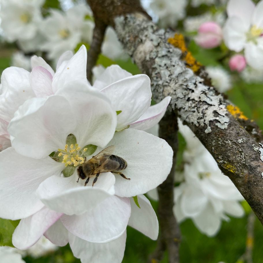 Ein Blick in die Brennanlage vor der Befüllung mit Maische